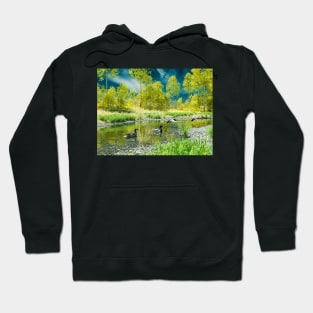 Mallard ducks in the lake Hoodie